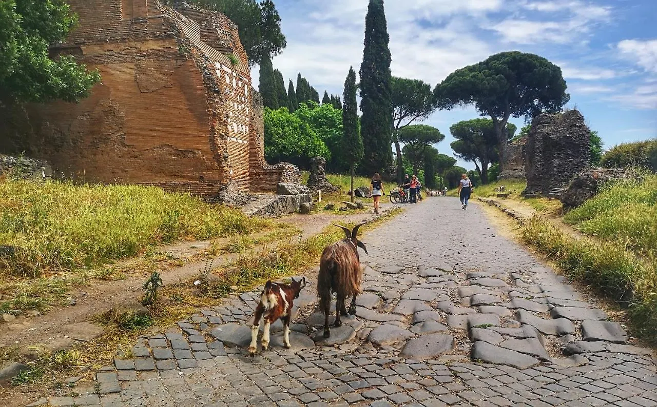 Casa Vacanza Katiuscia Roma Italia